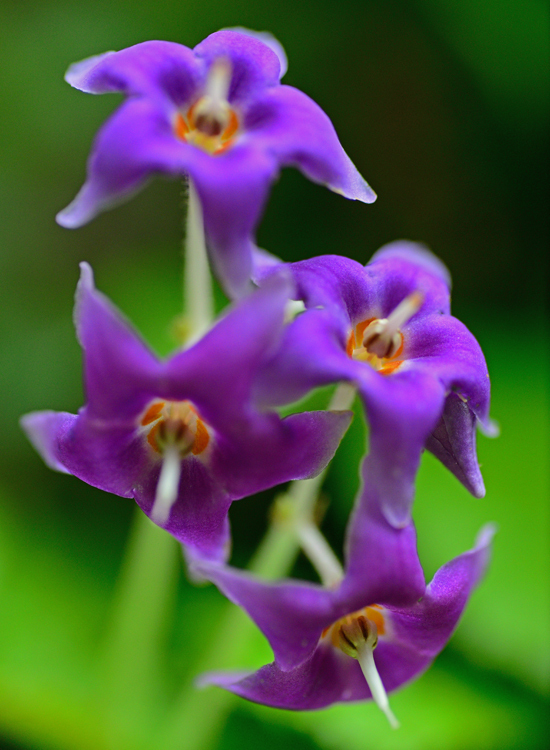 DSC_4219-2.jpg