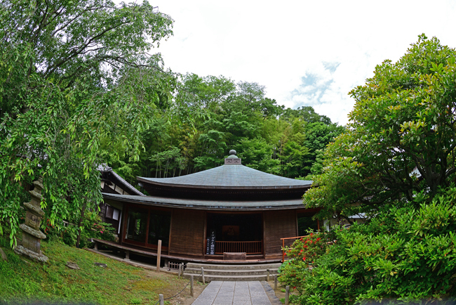 DSC_4254-2.jpg