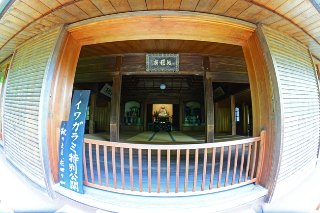 DSC_4255-2.jpg