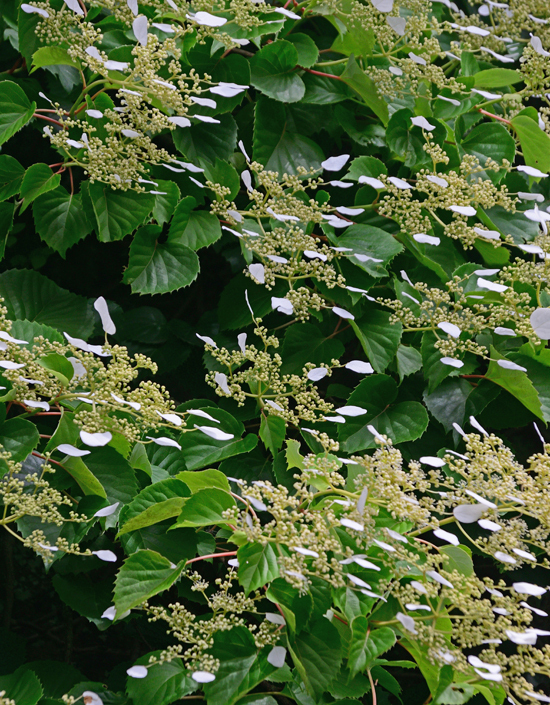 DSC_4304-2.jpg