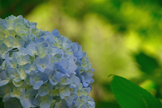 DSC_4357-2.jpg