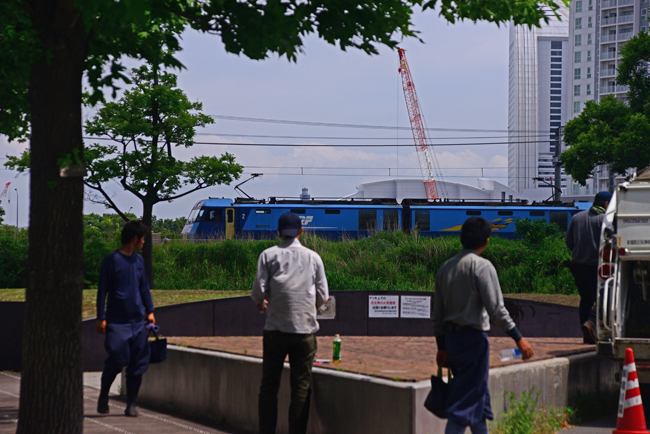 DSC_4421-2.jpg