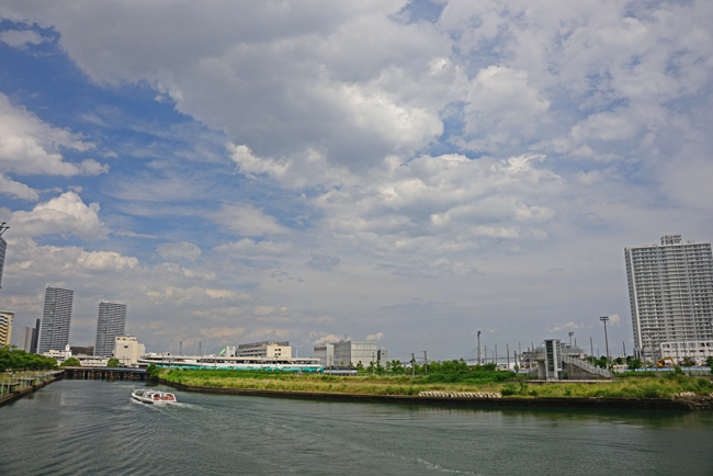 DSC_4459-2.jpg