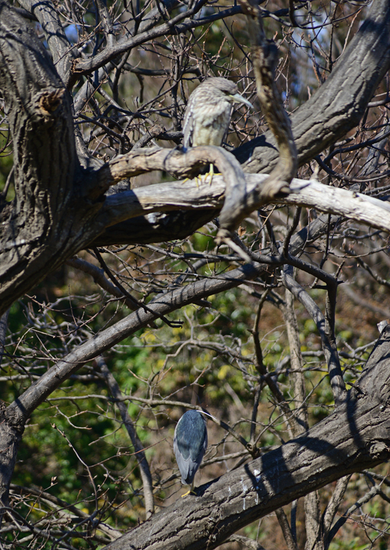 DSC_4459-2.jpg