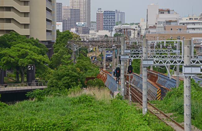 DSC_4493-2.jpg