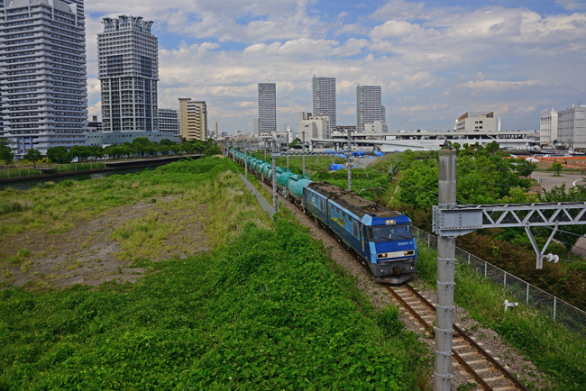 DSC_4504-2.jpg