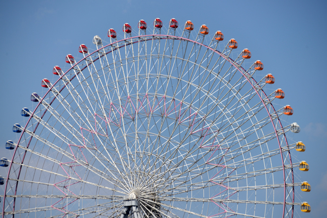 DSC_4519-2.jpg