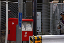 DSC_4544-2.jpg