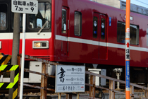 DSC_4578-2.jpg