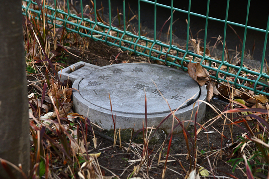 DSC_4581-2.jpg