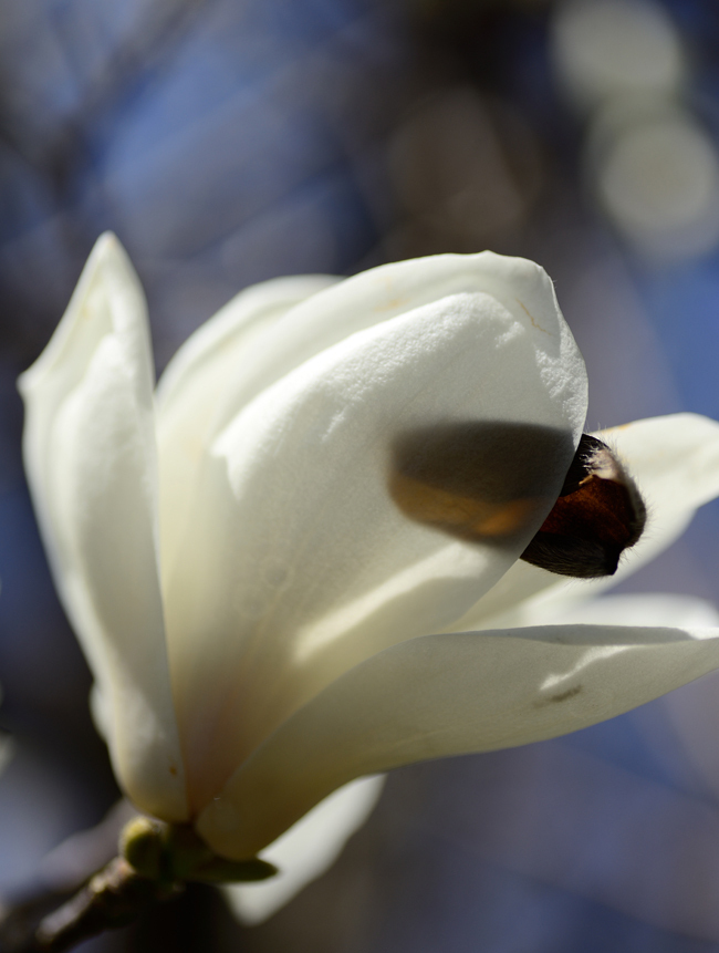 DSC_4590-2.jpg