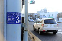 DSC_4625-2.jpg