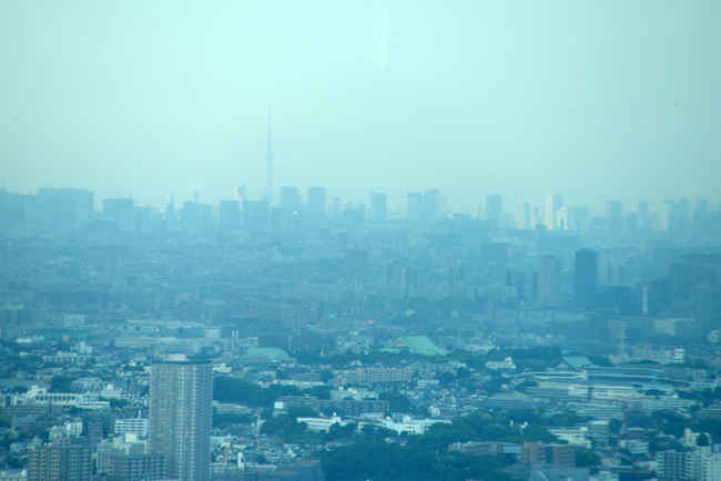 DSC_4640-2.jpg