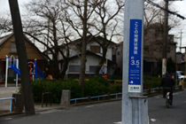 DSC_4685-3.jpg