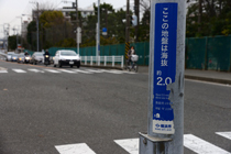 DSC_4700-2.jpg