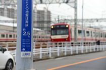 DSC_4730-2.jpg