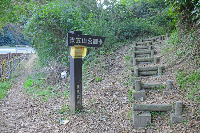 DSC_4788-2.jpg