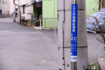 DSC_4790-2.jpg
