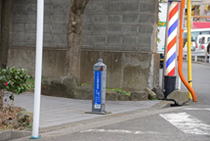 DSC_4800-2.jpg
