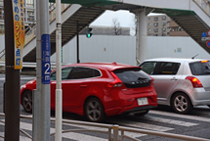 DSC_4810-2.jpg