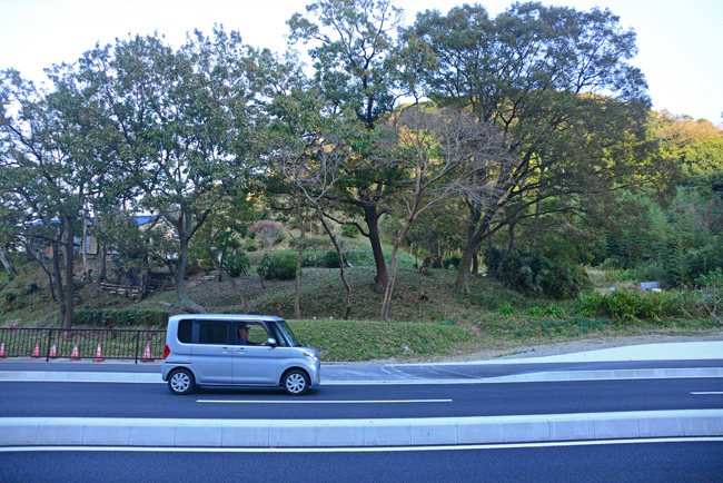 DSC_4814-2.jpg
