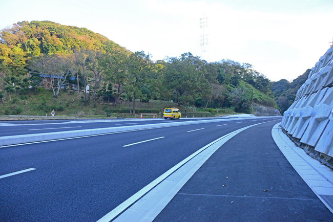 DSC_4816-2.jpg
