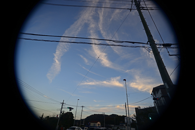 DSC_4858-2.jpg