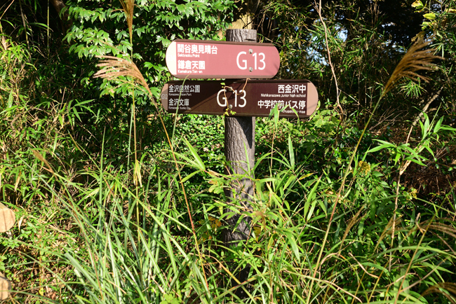 DSC_4987-2.jpg