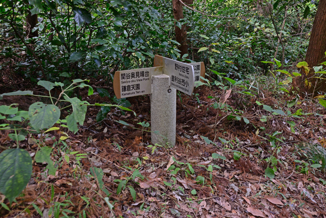 DSC_5011-2.jpg