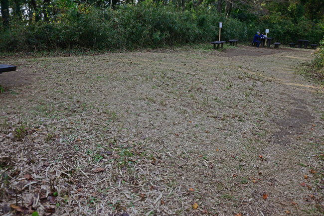 DSC_5017-2.jpg