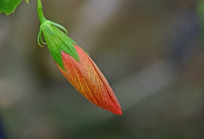 DSC_5018-2.jpg