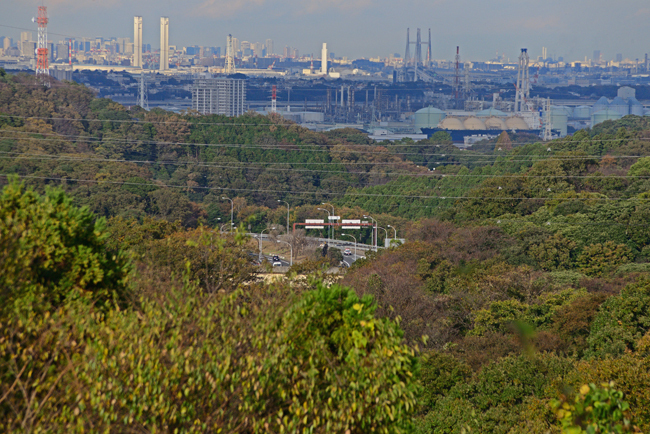 DSC_5020-2.jpg