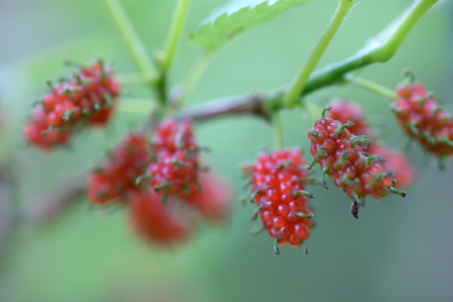 DSC_5030-2.jpg