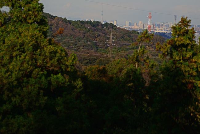 DSC_5035-2.jpg