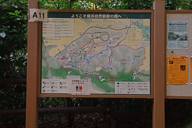 DSC_5037-2.jpg