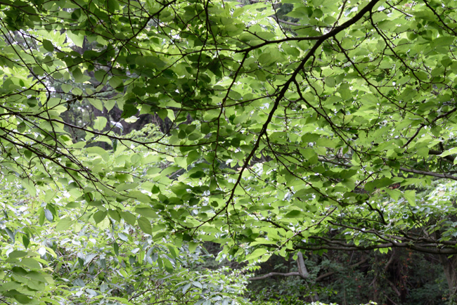 DSC_5039-2.jpg