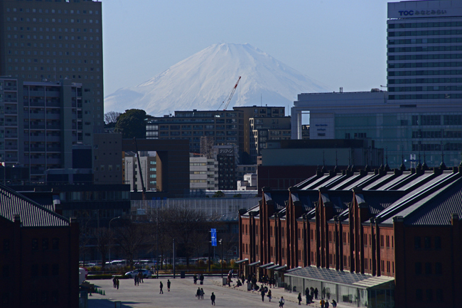 DSC_5039-2.jpg