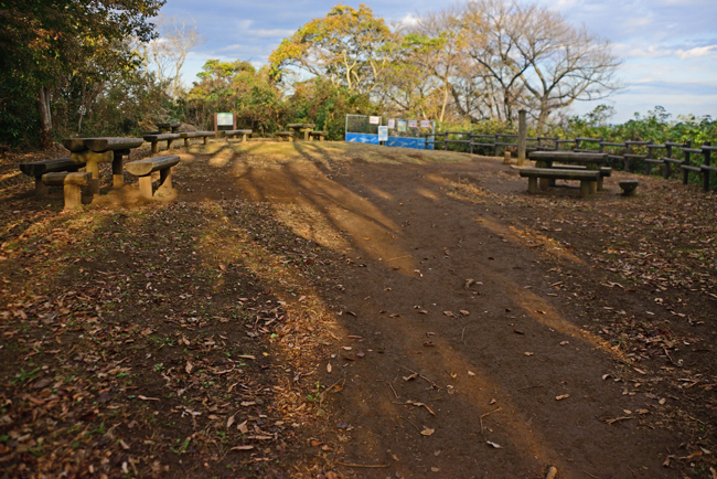 DSC_5040-2.jpg