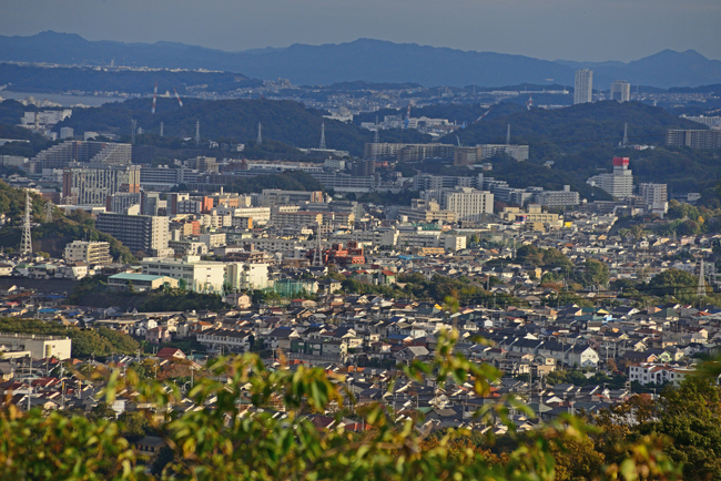 DSC_5046-2.jpg
