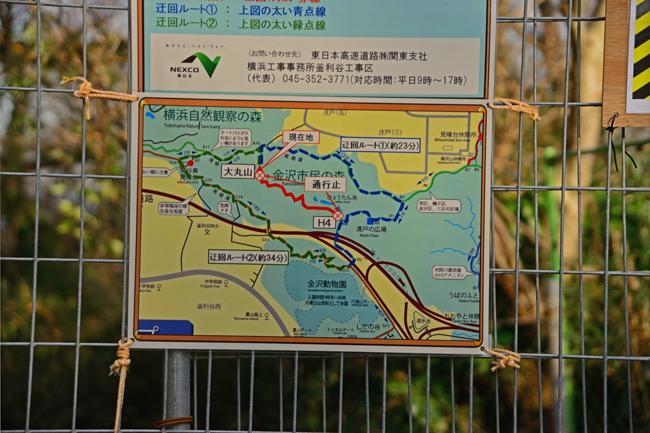 DSC_5047-2.jpg