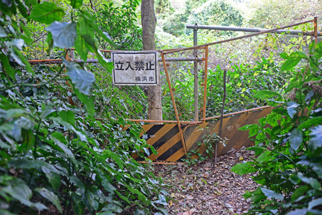 DSC_5051-2.jpg