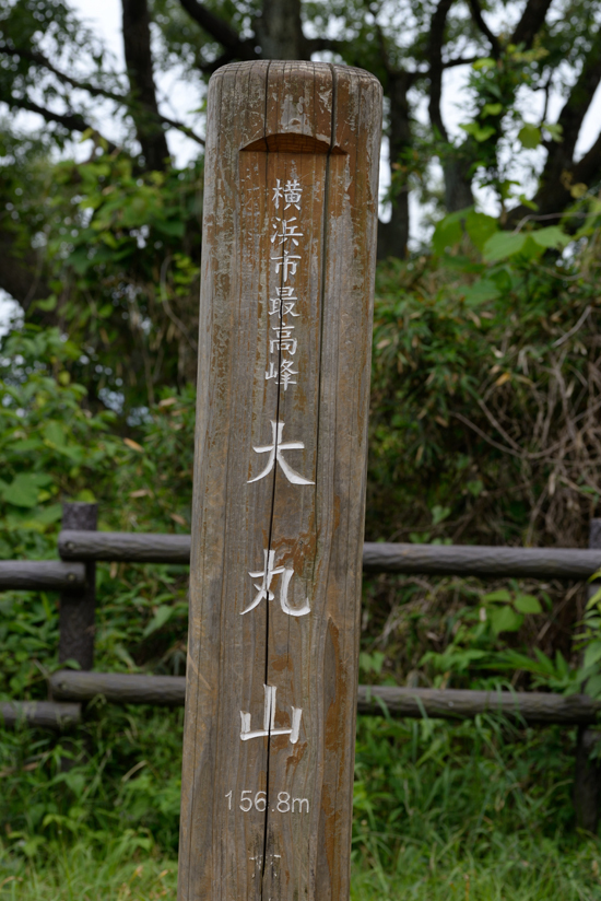 DSC_5057-2.jpg
