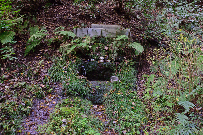 DSC_5059-2.jpg