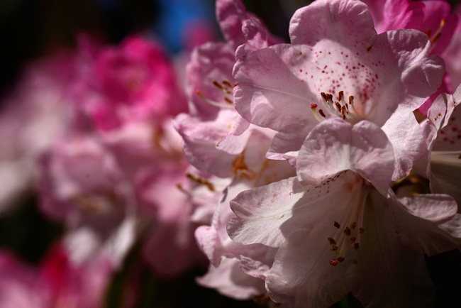 DSC_5071-2.jpg