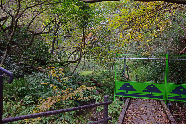 DSC_5075-2.jpg