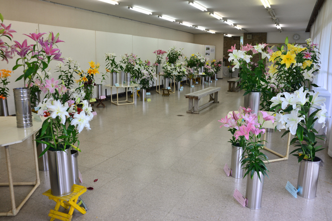 DSC_5075-2.jpg