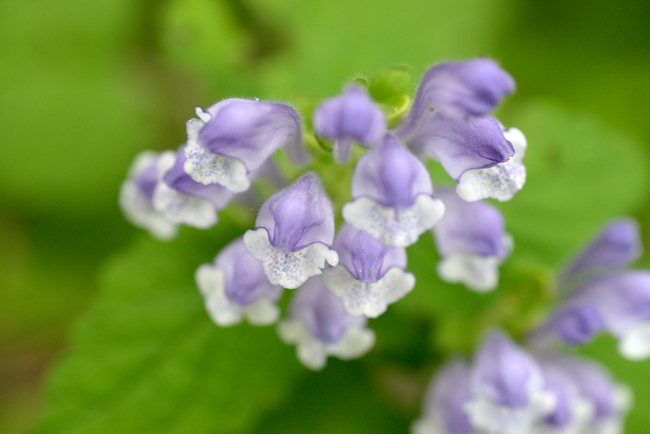 DSC_5076-2.jpg