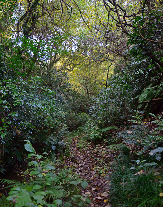 DSC_5077-2.jpg