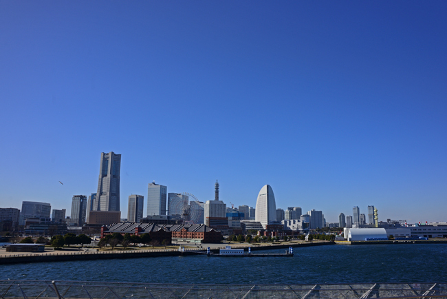 DSC_5081-2.jpg