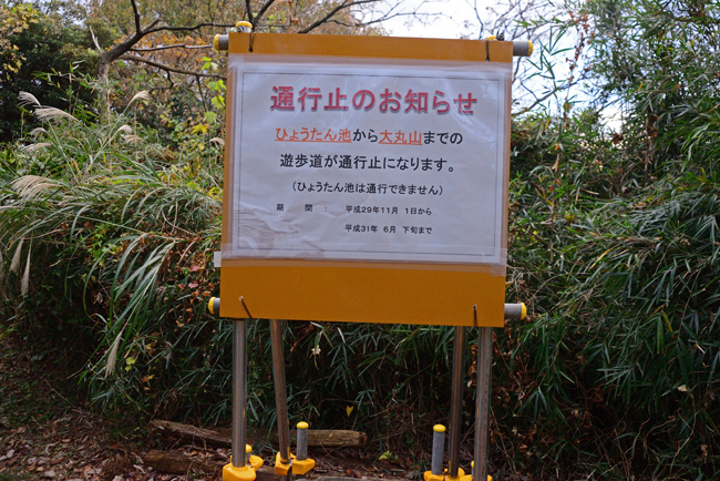 DSC_5093-2.jpg